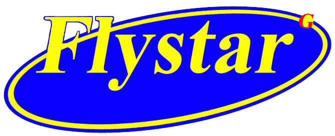 flystar-digital.com